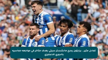 تعادل مثير.. برايتون يحرج مانشستر سيتي بهدف متأخر في مواجهة حماسية بالدوري الإنجليزي